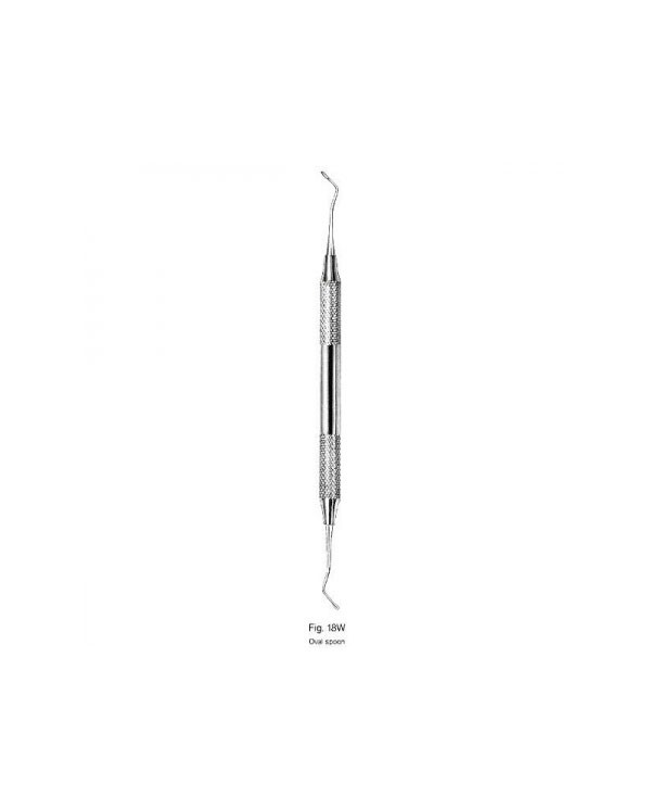 Oval spoon 18W